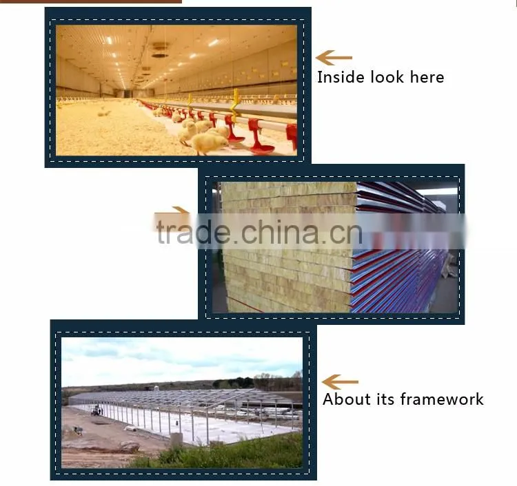 ISO9001:2008 steel structure poultry farms eastern asia for Algeria