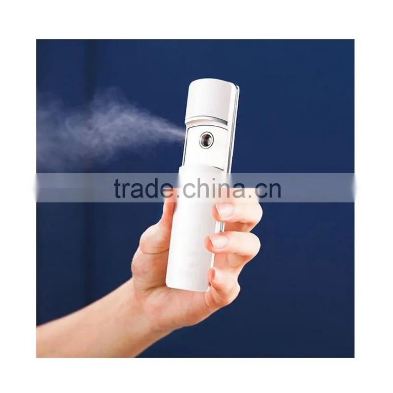 Handheld facial steamer for sale