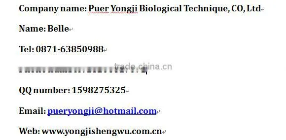 Rice Protein 300 Mesh for Bakery