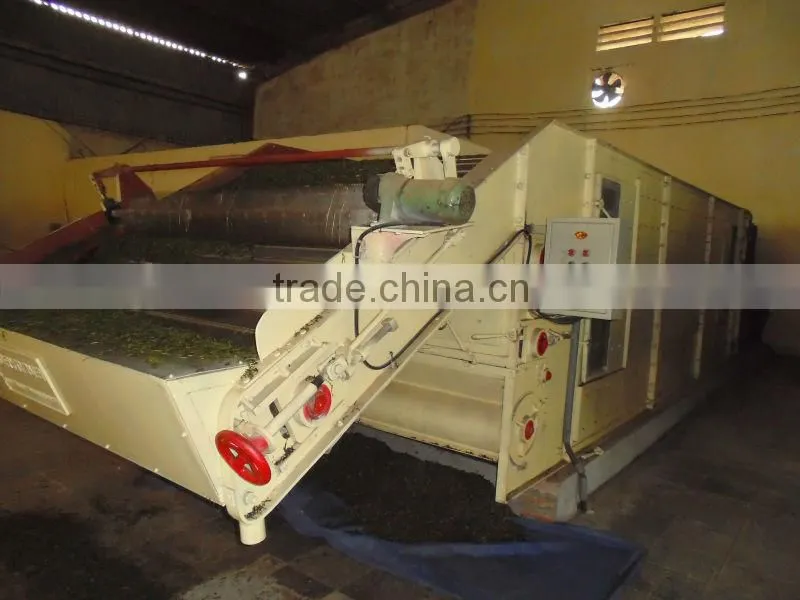 Type 1 Tea of Gimex Viet Nam