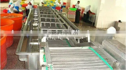 Shrimp Bubble Washing Machine With Top Water Spraying