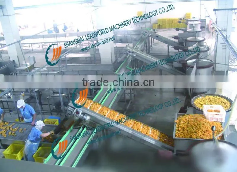product line for fruit(tomato paste,pickled gherkins, bean)