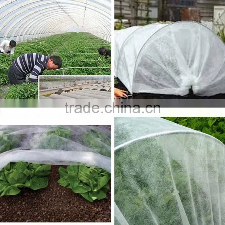 Manufacturer China Landscaping 100% Pp Spunbonded Nonwoven Fabric