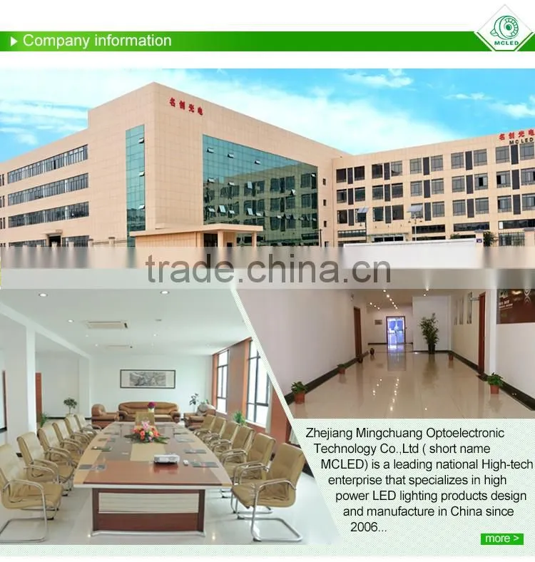 MCLED ATEX 30W COB MOSO Explosion-proof led industrial explosion proof lighting fixtures Zone1 and Zone 2 lighting