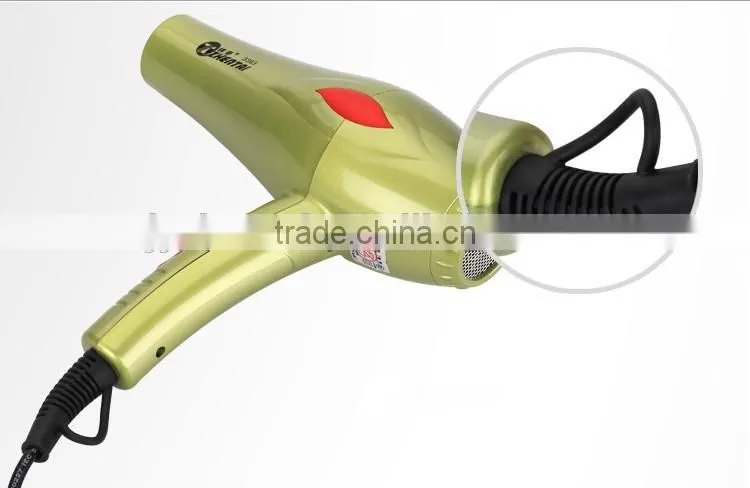 Ionic Professional Hair Dryer, 1200W to 2000W