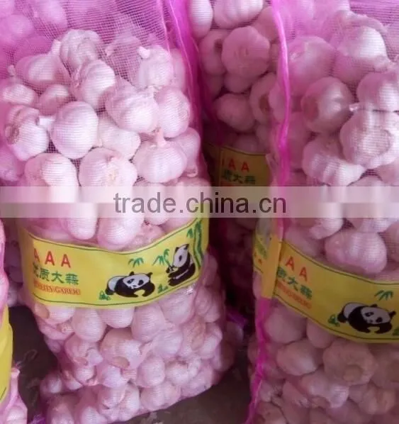 pure white garlic
