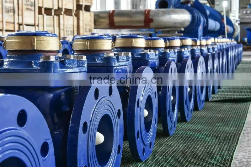 Remote Vane Wheel LXLC-(50-300)R Woltman Direct Reading Magnetic Detachable Mechanical Flow Water Meter Industrial Woltman