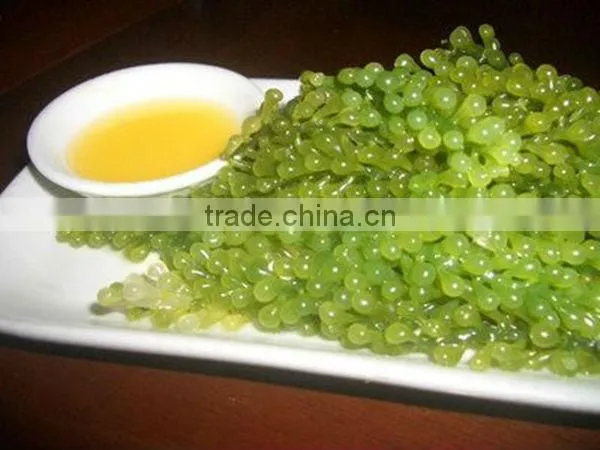 Sea grapes