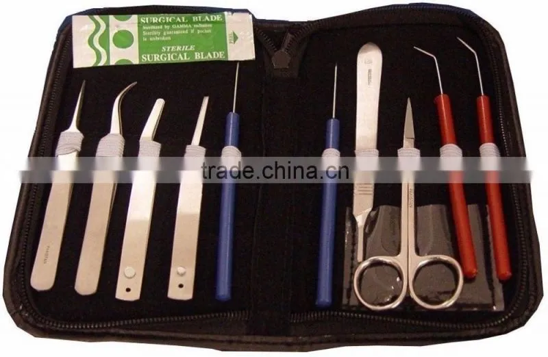 Disposable Dental Instruments Kit/Examination Kit/Surgical Kit