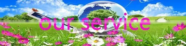 factory directly sale beautiful couple crystal swans