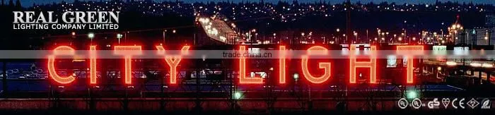 220V LED Neon Flex Rope Light