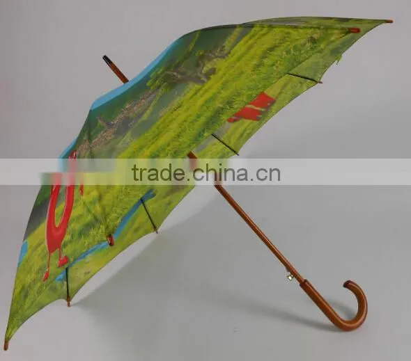 23 inches wooden handle special umbrella