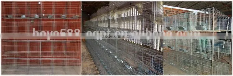 galvanized or pvc coated high quality large rabbit hutch for sale
