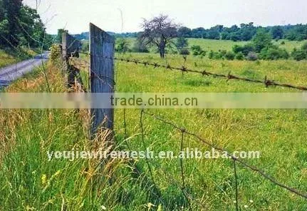 Plastic Coated Barbed Wire Mesh(manufacturer)
