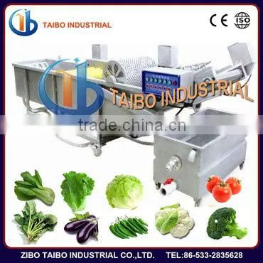Ozone Fruit and Vegetable Washer /Vegetable Washing Machine