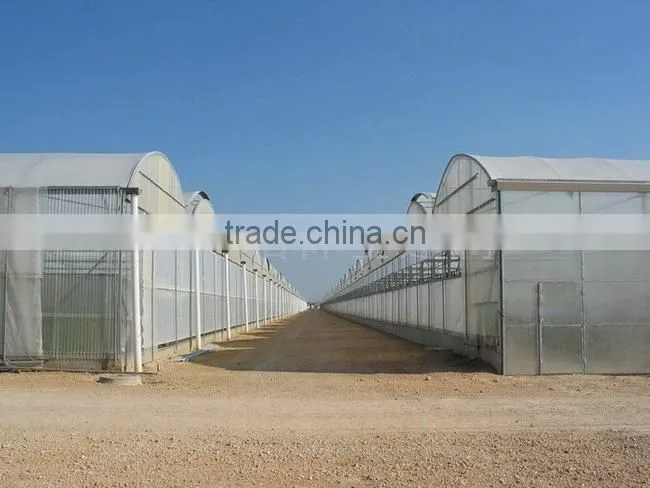greenhouse plastic sheet