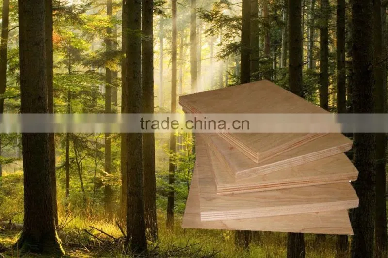 12mm plywood waterproof with hardwood core