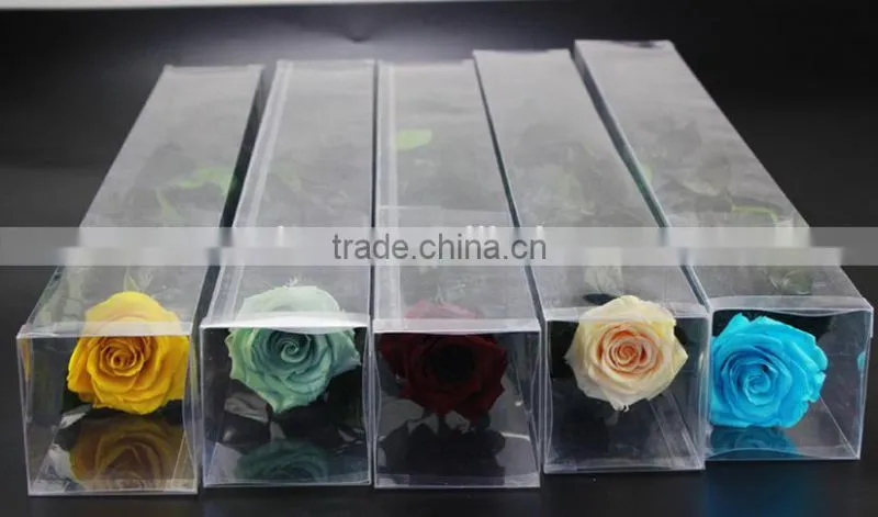 2016 Yiwu Aimee wholesale dubai importers hotsale preserved fresh flower(AM-PF03)