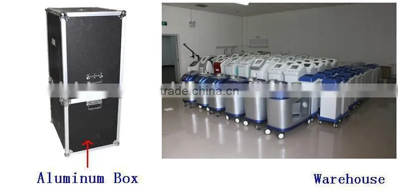 2015 New products Multifunction painless permanently hair removal 3 handles ipl back hair removal machine