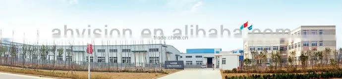optical color sorter, digital color separation machine for garlic slice