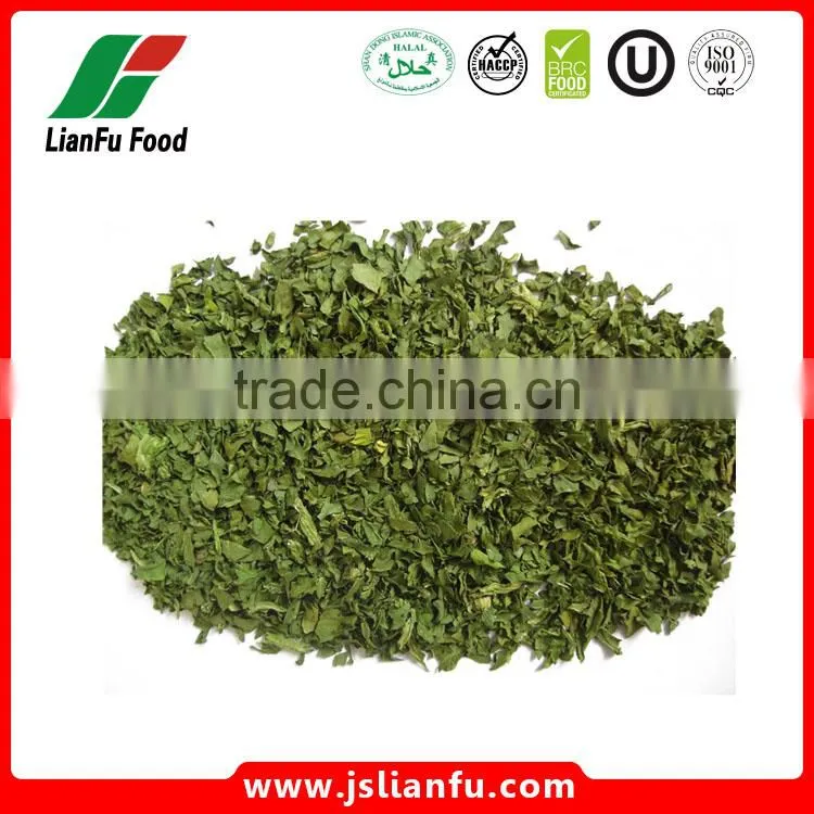 AD Spinach leaves Dried spinach leaf Dehydrated Spinach powder