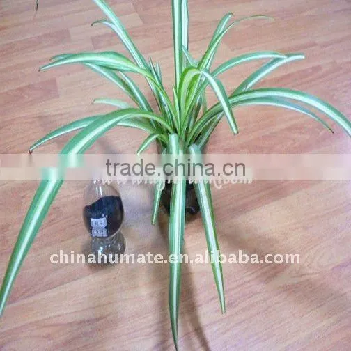 Humic acid and fulvic flake organic fertilizer extracted from leonardite