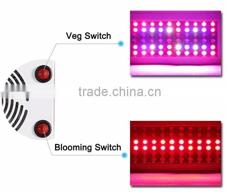 Best price of high intesity high lumens output 300w led grow light for plants grow