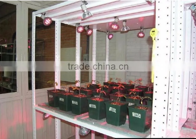 best 12W led grow plant light red blue color mix par light wholesale