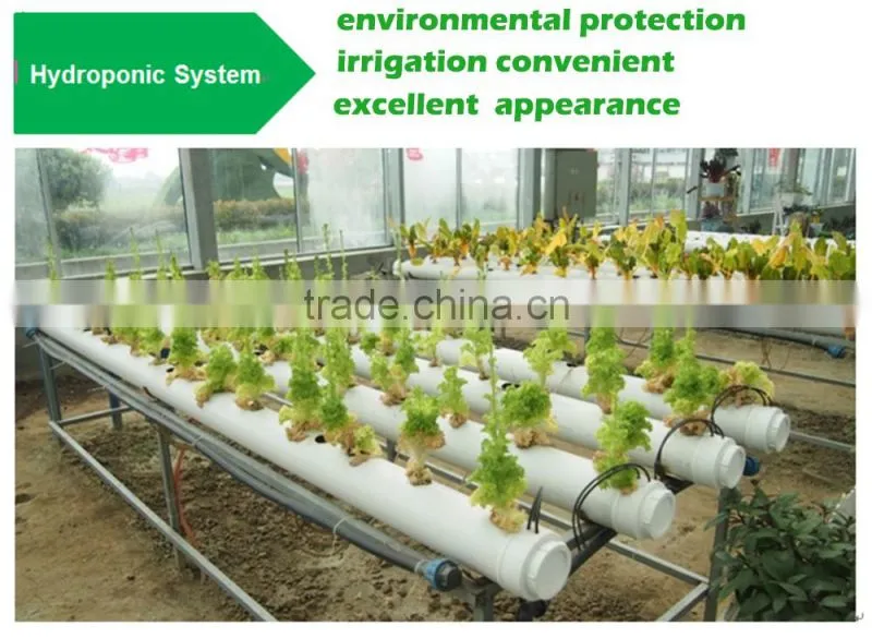 Multi Span Tunnel PE Plastic Film Hydroponic Systems Agricultural Commercial Greenhouse