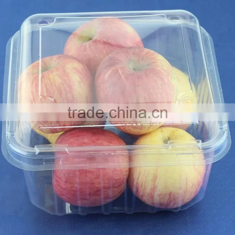 HIGH QUALITY CUSTOMIZED PLASTIC CLAMSHELL BLISTER PACKAGING WITH COMPETITIVE PRICE