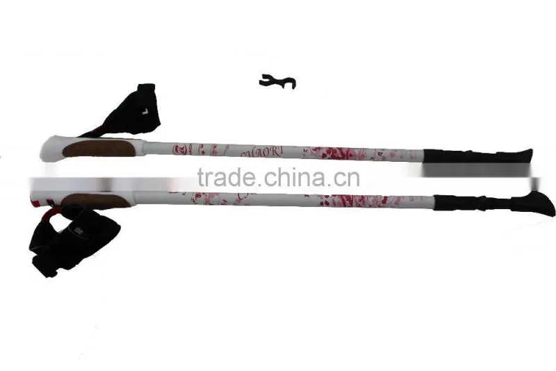 Nordic walking stick, cheap price, 3 sections, internal lock, 6061 Aluminum SZ17007