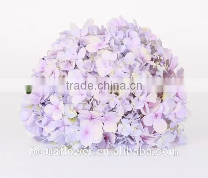 Wholesale Organic Fresh Cut Decorative Colorful Flowers Perfect For Mother's Day Hydrangea Flower