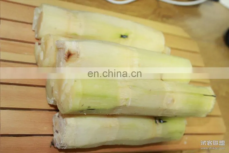 Automatic sugarcane peeling and processing machine and skiving machine
