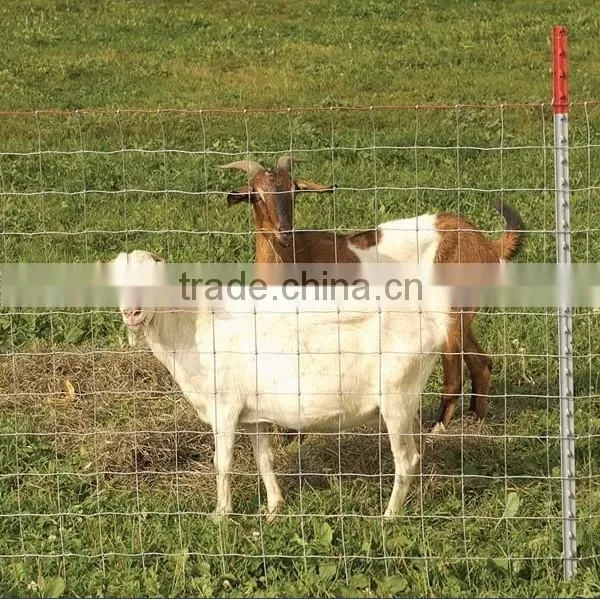 150/12/15 hot dipped galvanized Goat Fence| werson fence