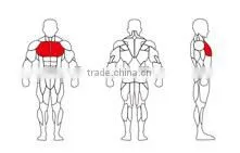 SK-605 Pectoral fly gym equipment life gear exercise equipment