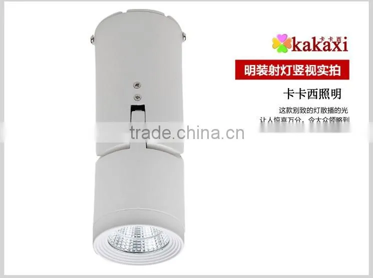 Surface Mount High quality LED Downlight COB 10W LED Spotlight Track Lights