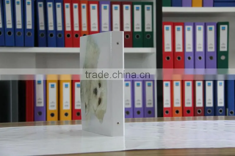 Ring binder with metal