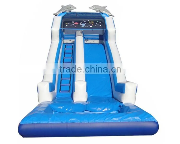 commercial grade dolphin water slide with pool, big water slides for sale