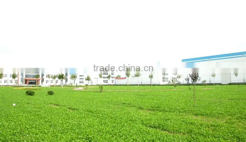 Dibasic Lead Phosphite(DBLP)