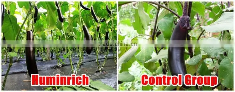 FAQ 10--Huminrich Potassium Humate Fertilizer For Garden