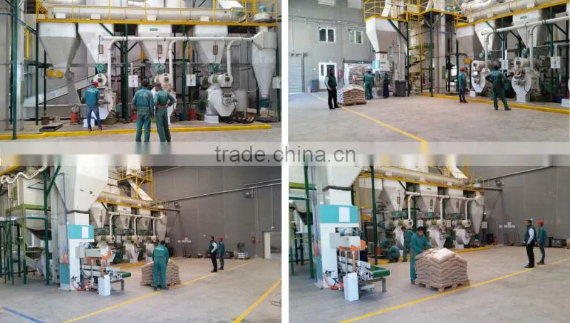 All in complete wood pellet production plant