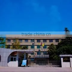 Zibo Qilu Chemicals Co., Ltd. company overview - view 2