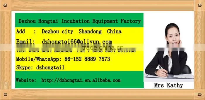 China factory Hot selling small size 528 incubator combined with hatcher