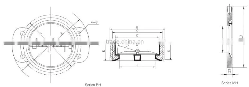 Wafer Butterfly Check Valve