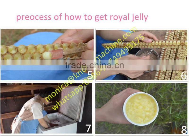Best Royal Jelly Price/Manufacturer Supply Fresh Royal Jelly