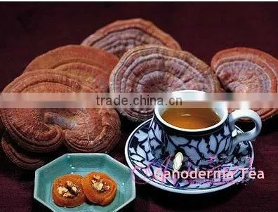 cordyceps sinensis coffee