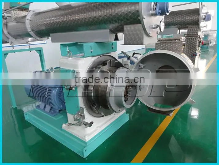 Fish Food Pellet Making Machine/Carp Feed Pellet Mill Machine Price