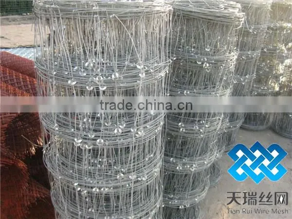 field mesh/cattle mesh/field fence
