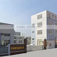 Yangjiang DAKOO Housewares Co., Ltd. company overview - view 1