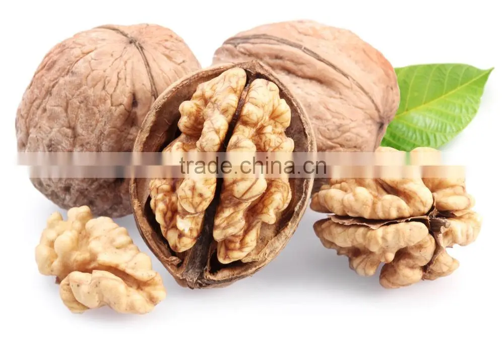 Light Amber Quarters Walnut Kernels